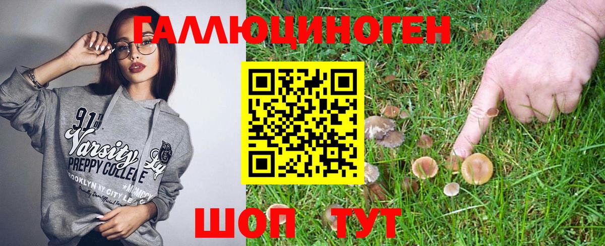 Губкинский  Псилоцибиновые грибы Psilocybe  Вход с VPN  Галлюциногенные грибы Magic Shrooms 